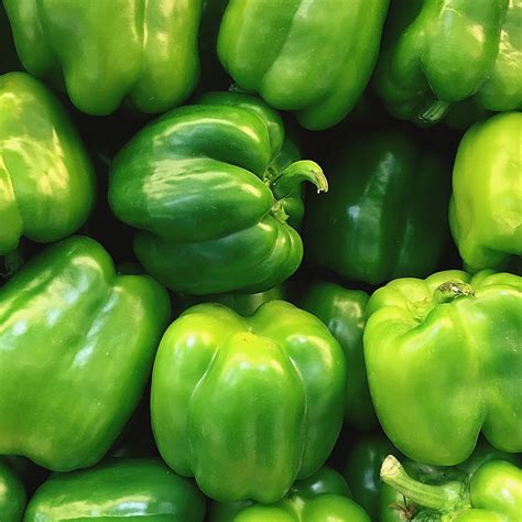 FarmBiz TV: Green pepper delivers quality sales through long season and ...