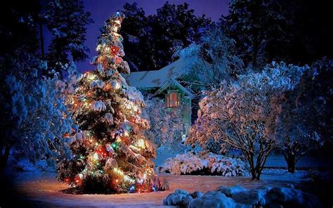 ♥ Beautiful Christmas Trees Decorated Christmas Tree Wallpape