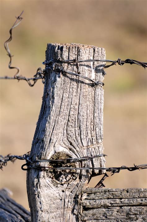 10 Old Fence Post Ideas