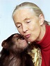 Jane Goodall – Campo