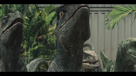 Jurassic World Colin Trevorrow 2015 Página 348