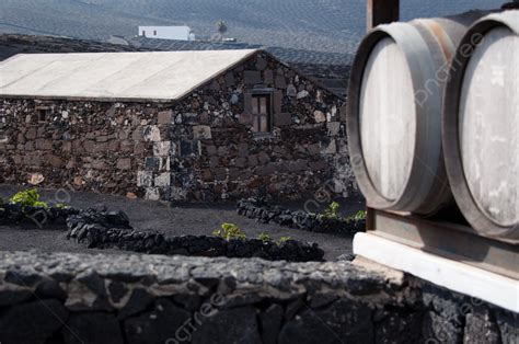 Lanzarote Winery Cultivation Destiny Craters Photo Background And