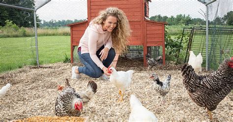 How To Start Raising Chickens4 Important Steps