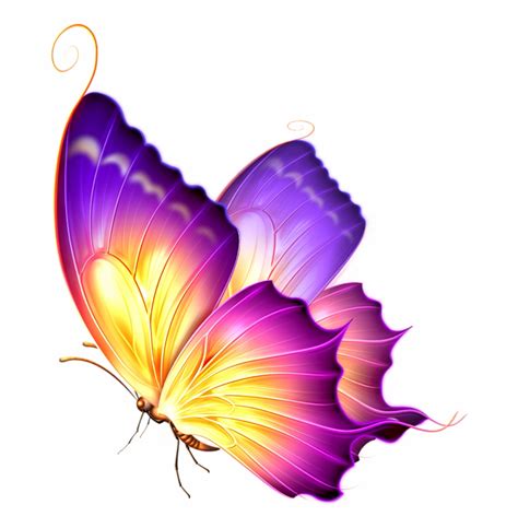 Pink And Purple Butterfly Clipart Clipart Panda Free Clipart Images