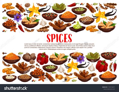 Fragrant Spices Condiments India Ginger Cinnamon Stock Vector Royalty