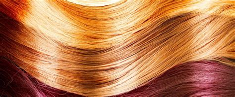 Ready for the #1 hair color changer challenge? Permanent Hair Dye - Ingredient | Inside our products - L ...