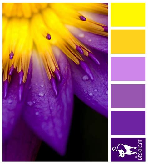 Pin By Designcat Colour On Wedding Purple And Yellow Pinterest