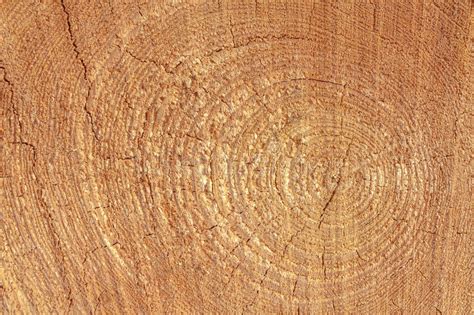 Tree Texture Timber Light Natural Pattern Wood Grain Background Stock