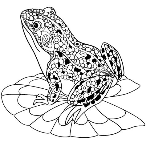 Cute Frog On Water Lily Leaf Frogs Adult Coloring Pages