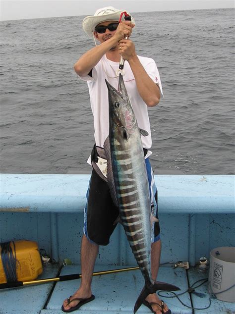 How To Catch Wahoo Tips For Fishing For Wahoo
