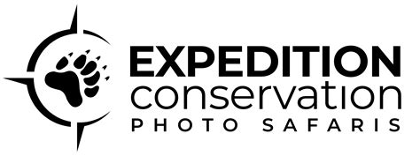 Terms And Conditions Expedition Conservation Wildlife Photography Safari