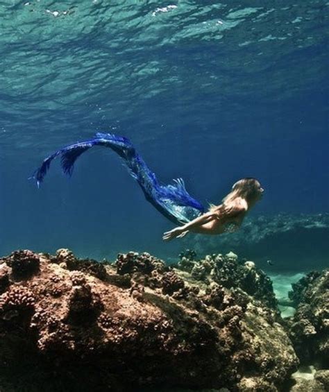 17 Best Images About Mermaids On Pinterest Beautiful Mermaid Swim