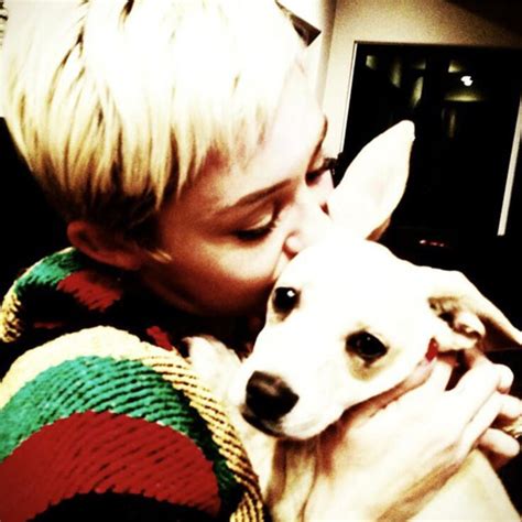 Mileys Puppy Is All Grown Up—see Her Pic E Online