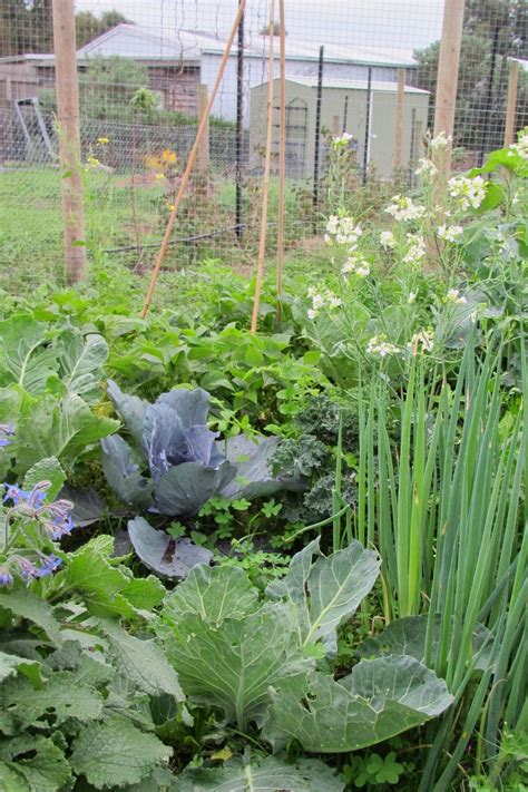 Our wonderful followers who come back again and again to read about us. My Big Backyard