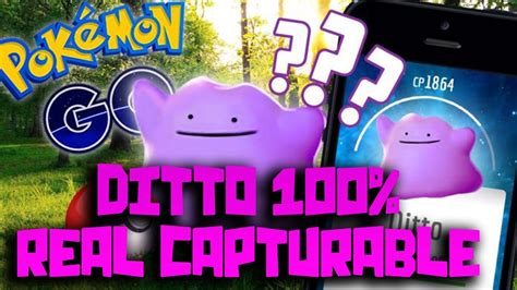 Oficial Ditto En Pokemon Go 100 Real Como Capturar A Ditto En