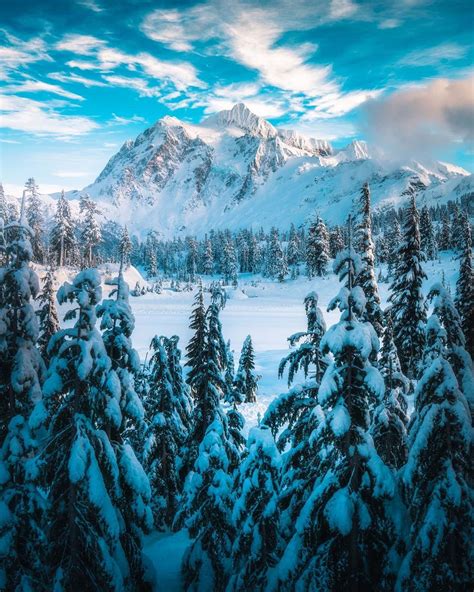 Zach Doehler On Instagram Alpine Wonderland 🌨 A Fresh Layer Of