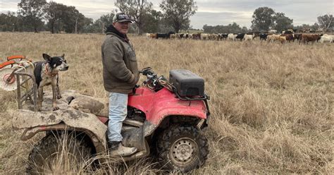 Travelling Stock Reserve Upkeep Questioned By Drovers The Land Nsw