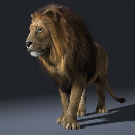 Lion Rigged Fur 3d Model