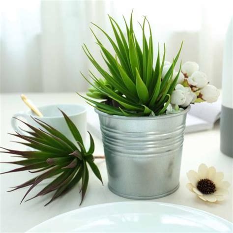 More than 3000 white cactus at pleasant prices up to 33 usd fast and free worldwide shipping! Set of 3 | 8" Assorted Artificial Succulent Plant ...