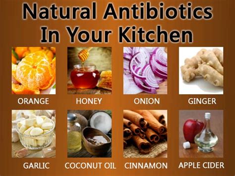 10 Amazing Natural Antibiotics You Can Find In Your Kitchen