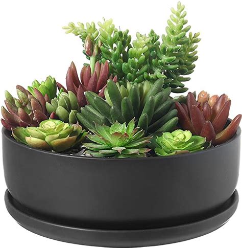 Myt 8 Inch Black Ceramic Indoor Plant Pot With Drainage Hole