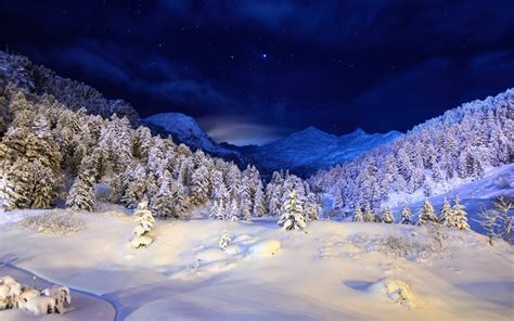 Winter Night Mountains Stars Snow Forest Trees Wallpaper Nature