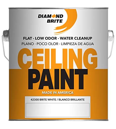 Top 10 Best Bright White Ceiling Paint Mygeneratorlab