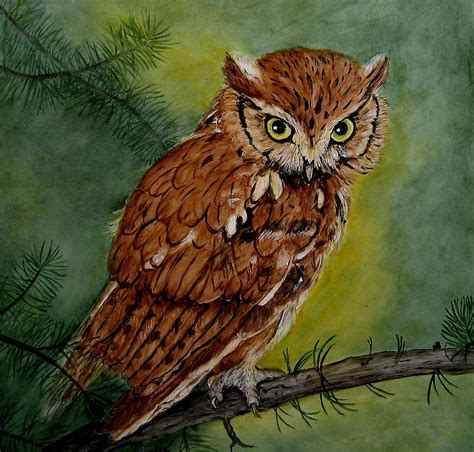 Screech Owl Painting By Sandra Maddox