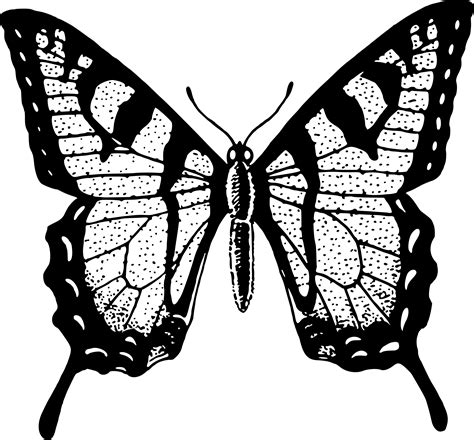 Black Butterfly Png File Png Mart