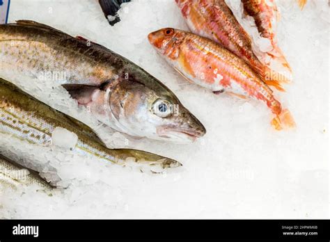 Whole Fresh Fishes Are Offered In The Fish Market In Paris Stock Photo