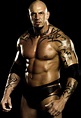 Wrestler Travis Tomko (Travis Tomko) – Wiki, Profile | WWE Wrestling ...
