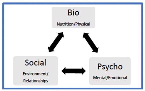 Ijerph Free Full Text Biopsychosocial Factors During The Perinatal