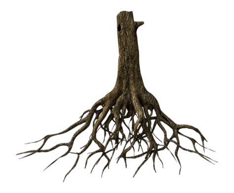 Free Transparent Tree With Roots Clipart Download Free Transparent