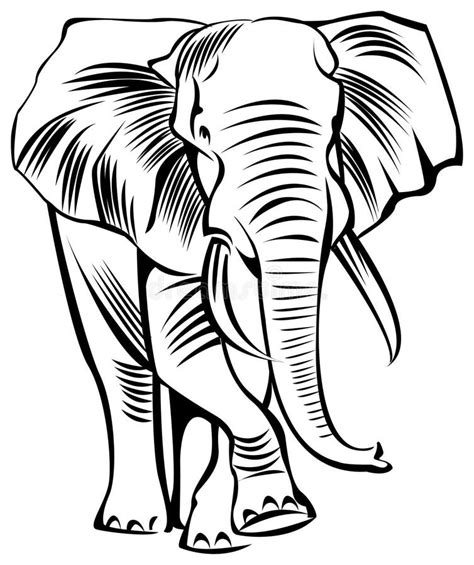 Elephant Stock Illustrations 139831 Elephant Stock Illustrations