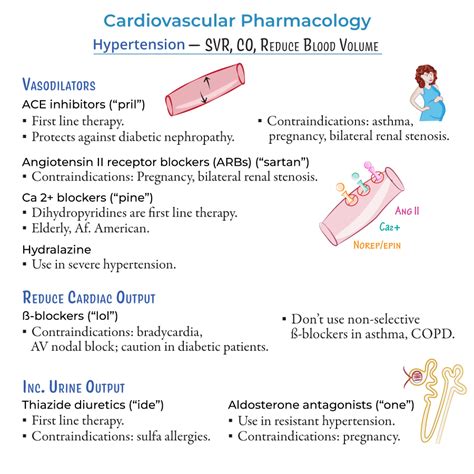 Cardiovascular System Glossary Cardiovascular Pharmacology Drug