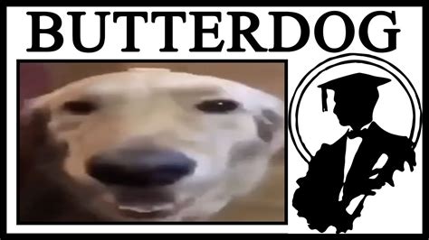 Butter Dog Dog Wit Da Butter Elliana Has Burke