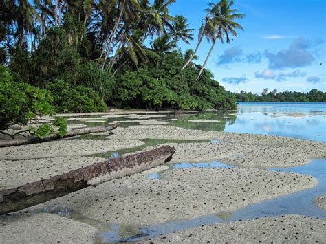 Explore video and photos from his unique time on the atoll. Island Conservation Palmyra Atoll Photo Gallery - Island ...