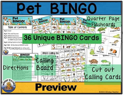Pet Bingo Game Made By Teachers