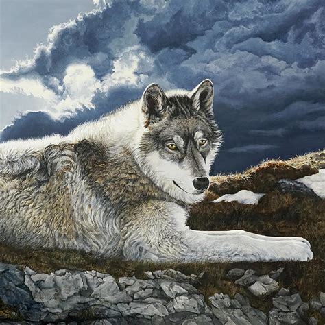 Calm Before The Storm Timber Wolf Painting By Laara Cassells Fine