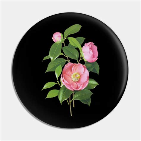 We did not find results for: Camellia Flower Flowers Botanical Drawing - Camellia - Pin ...