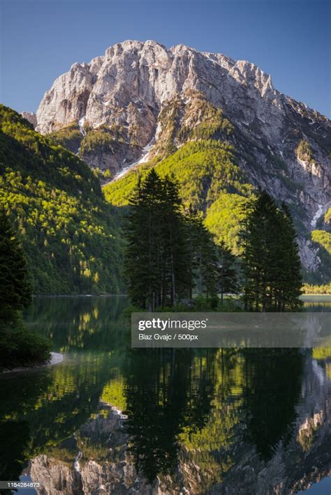 Vertical Photo Of Reflections In Lago Del Predil High Res Stock Photo