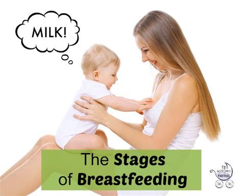 The Many Stages Of Breastfeeding