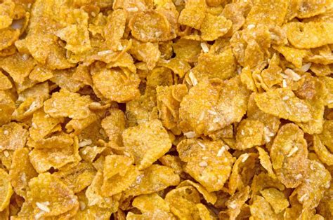 Cereal Flakes Royalty Free Stock Photography Image 29681377