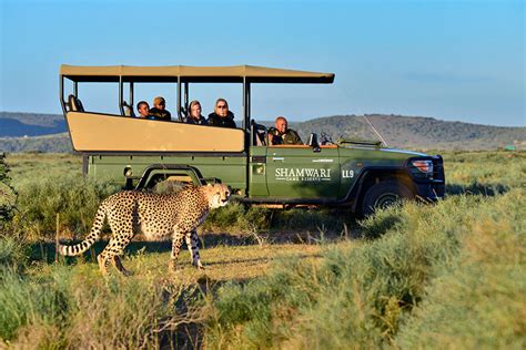 South Africa Must See Places Safari Parks Reserves Top Destinations