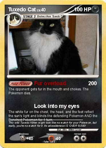 Litten, torcat, incinaror are all cat pokemon n sun and moon and its the fire starter in gen 7 same in ultra sun and ultra moon (the games are in the same gen like in best value nvidia rtx graphics cards in 2021. Pokémon Tuxedo Cat 5 5 - Fur overload - My Pokemon Card