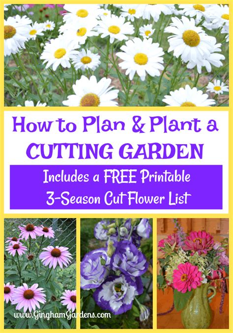 How To Grow A Cutting Garden Country Gardens Flower Garden Plans