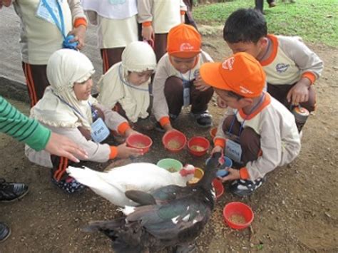 Pentingnya kegiatan mewarnai juga dilirik staedtler. Gambar Happy Paud Pendidikan Anak Usia Dini Preschool ...