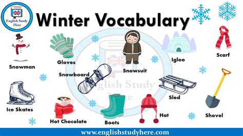 Winter Vocabulary In English English Study Here