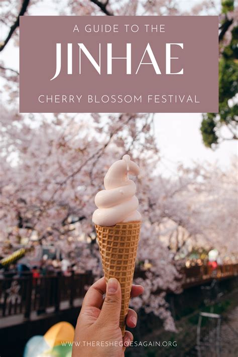 Jinhae Cherry Blossom Festival All You Need To Know