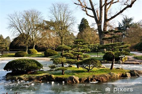 Ihr traumhaus zum kauf in düsseldorf finden sie bei immobilienscout24. Fototapete Japanischer Garten Düsseldorf • Pixers® - Wir ...